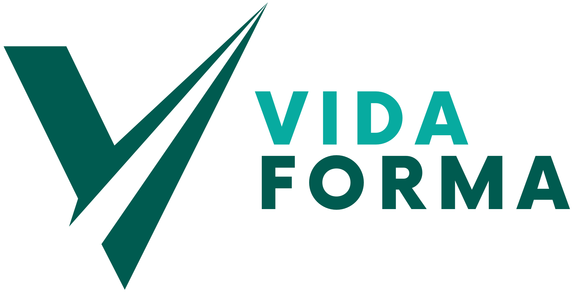 VIDAFORMA
